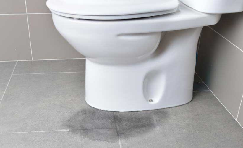 sửa bồn cầu tại quận Tân Phú