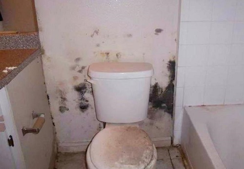 nhà vệ sinh thấm